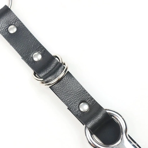Kinky and Collar Hook Leash 5853 EverydayUse Anal with 0818